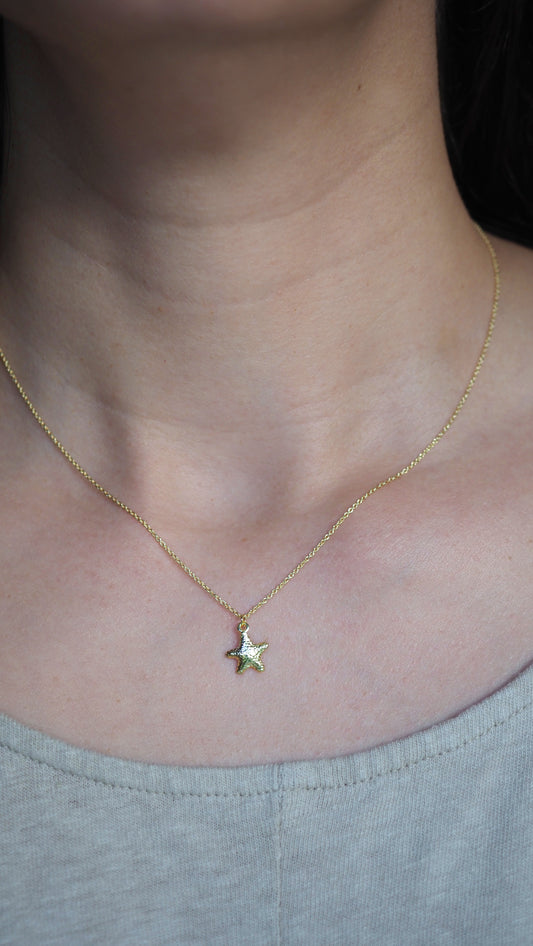 Yellow Gold Star Fish Necklace