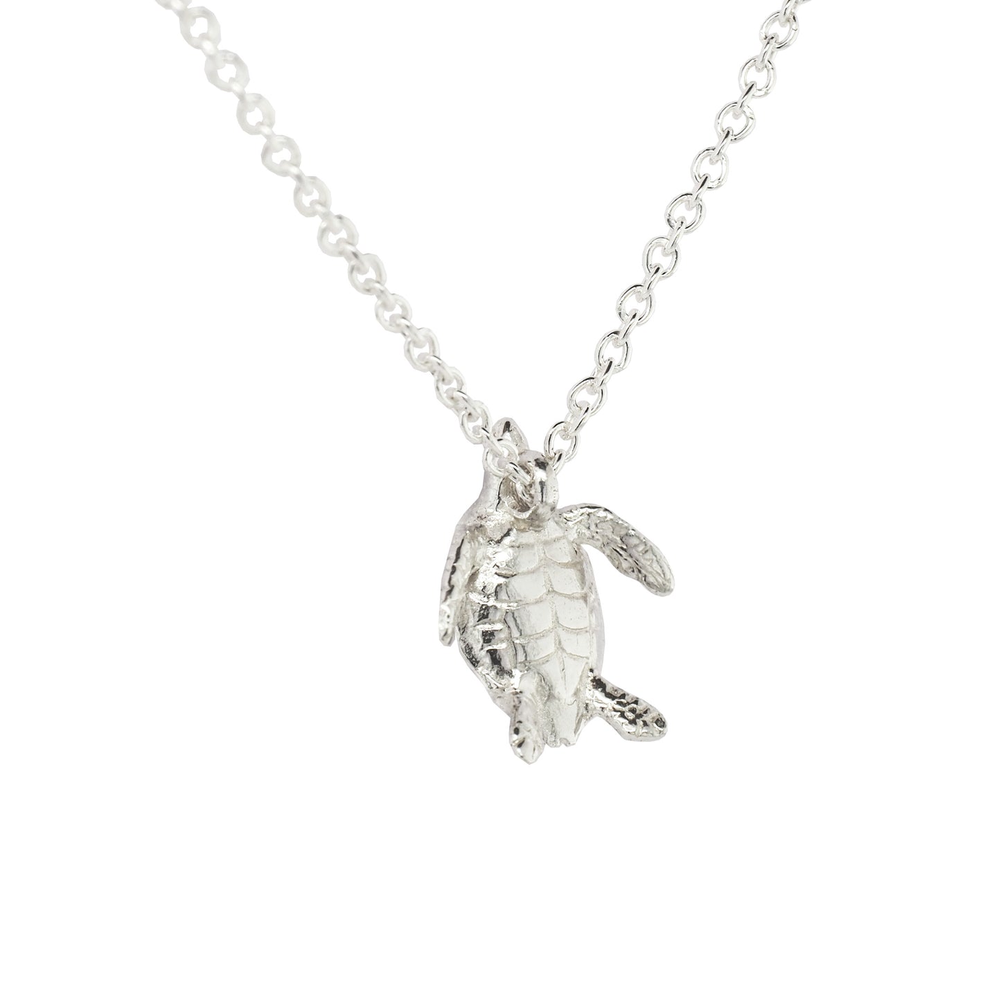 Silver Hawksbill Sea Turtle Necklace